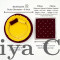 Round Velvet Gaddi with 2 Pillows and 12-Pearl Work Blanket Combo (Yellow & Maroon)